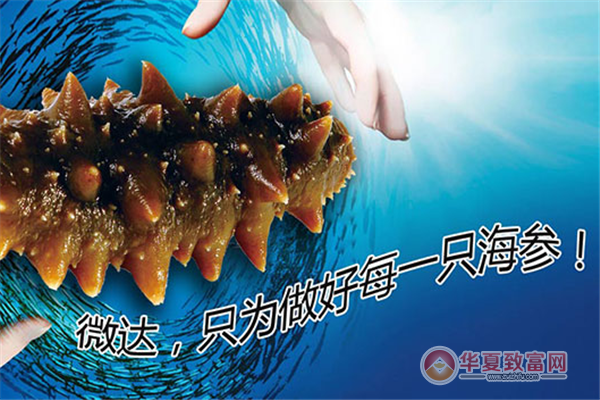 微达海参加盟